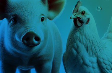 Boosting Livestock Health and Productivity:  The Advantages of Liquid Supplements